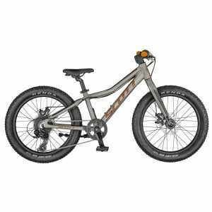 Велосипед SCOTT Roxter 20 raw alloy (CN) — One Size