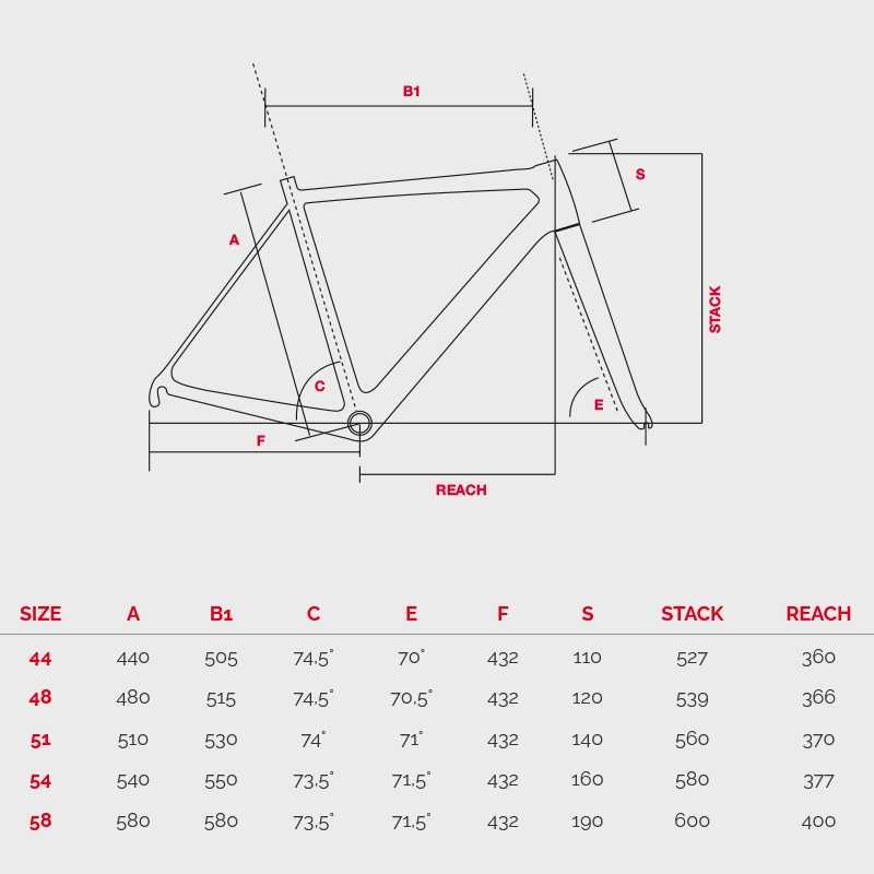 bottecchia-gravel-monster-48br_3