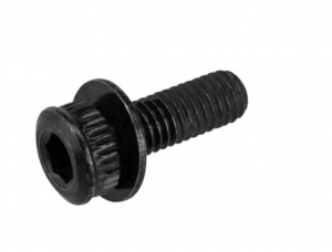 Гвинт адаптеру каліперу Shimano BR-RS505